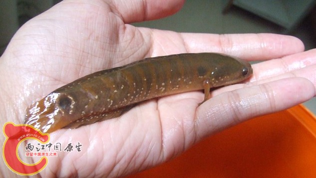 QQ截图20120813165927.jpg