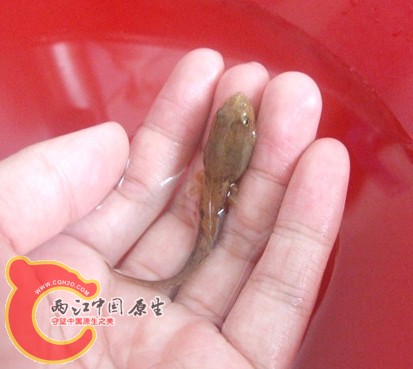 QQ截图20120813165937.jpg