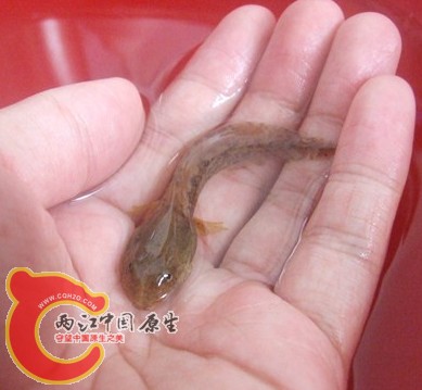 QQ截图20120813165942.jpg