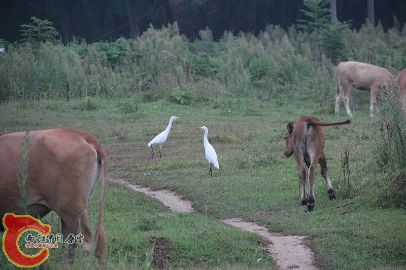 IMG_6288_副本.jpg IMG_6288_副本.jpg