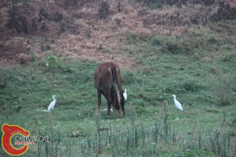 IMG_6329_副本.jpg IMG_6329_副本.jpg