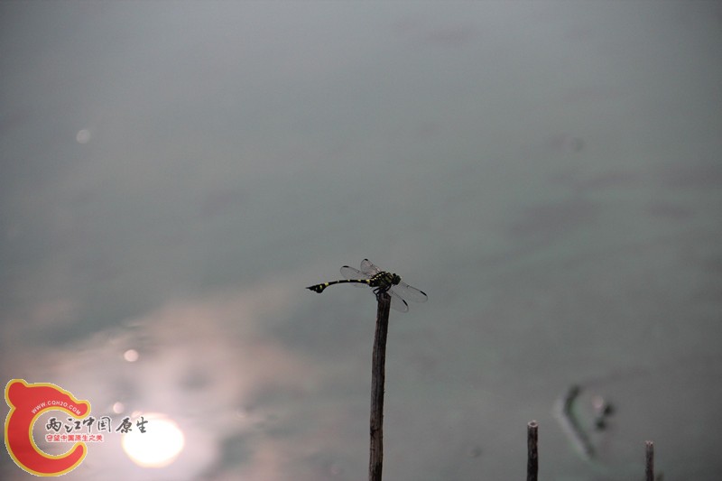 IMG_6383_副本.jpg IMG_6383_副本.jpg