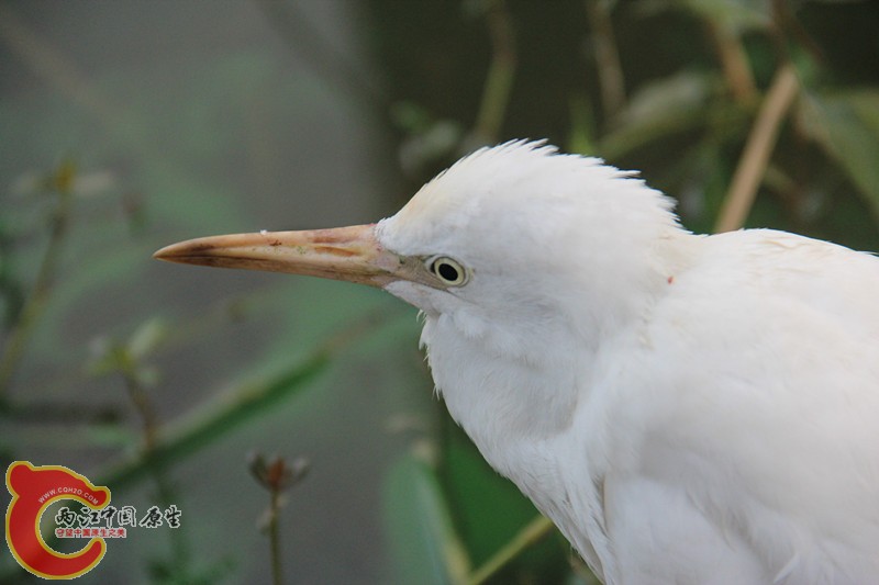 IMG_6399_副本.jpg IMG_6399_副本.jpg