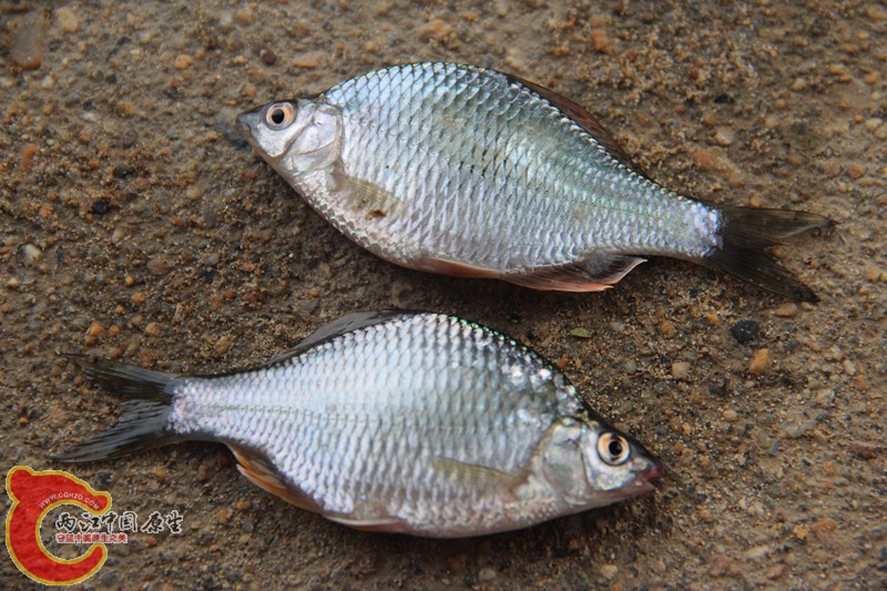 IMG_6400_副本.jpg IMG_6400_副本.jpg