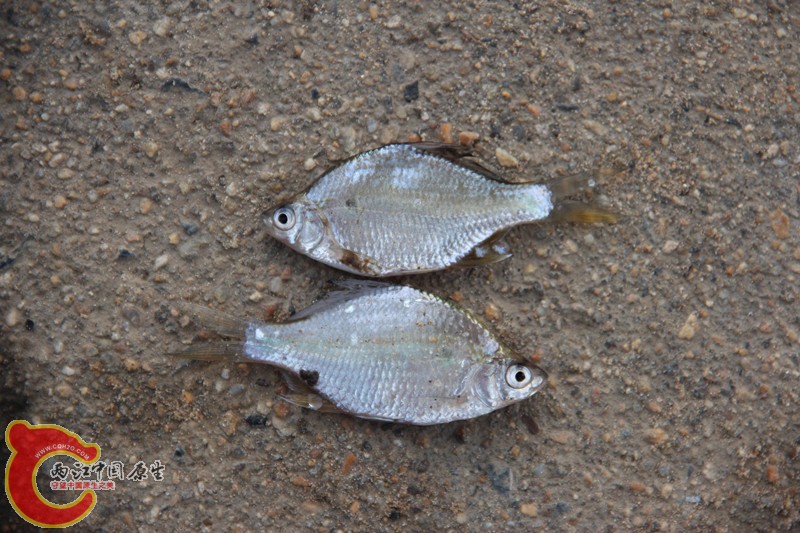 IMG_6402_副本.jpg IMG_6402_副本.jpg