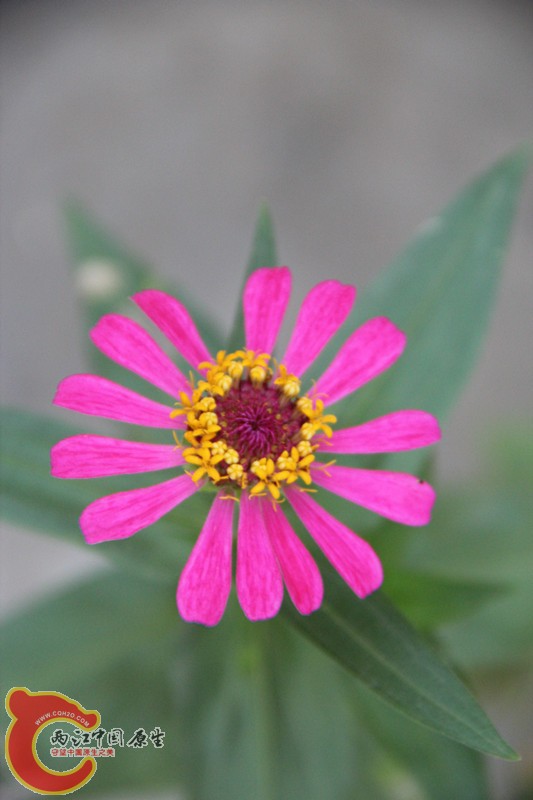 IMG_6404_副本.jpg IMG_6404_副本.jpg