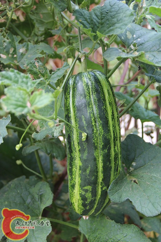 IMG_6412_副本.jpg IMG_6412_副本.jpg