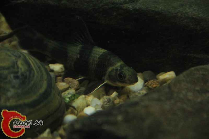 IMG_6418_副本.jpg IMG_6418_副本.jpg