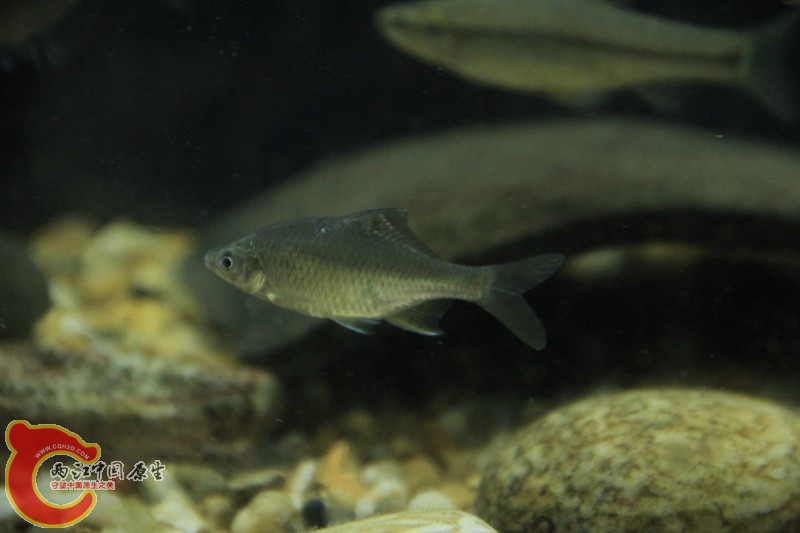 IMG_6422_副本.jpg IMG_6422_副本.jpg