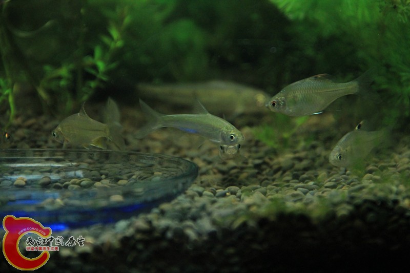 IMG_6425_副本.jpg IMG_6425_副本.jpg