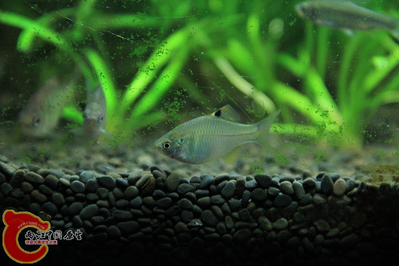 IMG_6428_副本.jpg IMG_6428_副本.jpg