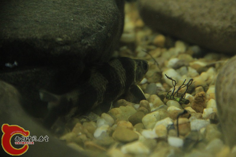 IMG_6430_副本.jpg IMG_6430_副本.jpg