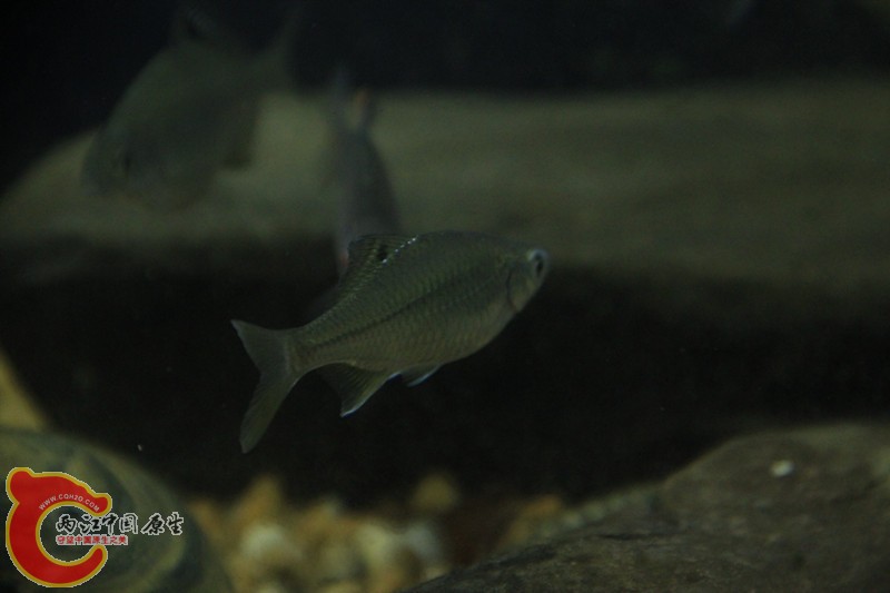 IMG_6433_副本.jpg IMG_6433_副本.jpg