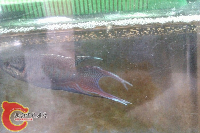 IMAG1168.jpg