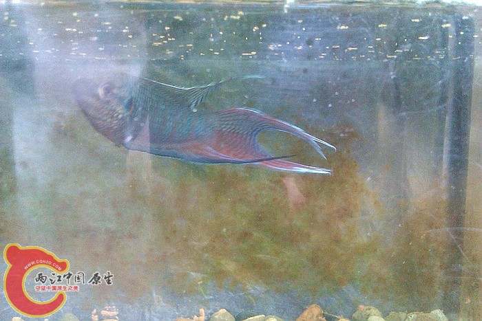 IMAG1175.jpg