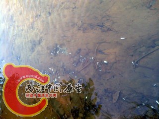 IMG_20120808_075824-001.jpg