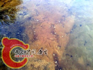 IMG_20120808_074659.jpg