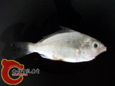 DSCF7358.JPG