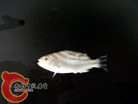 DSCF7361.JPG