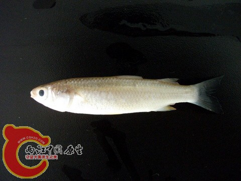 DSCF7363.JPG