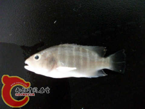 DSCF7365.JPG