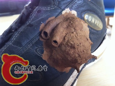 照片 031.jpg