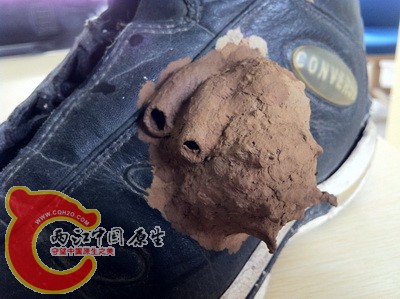 照片 032.jpg