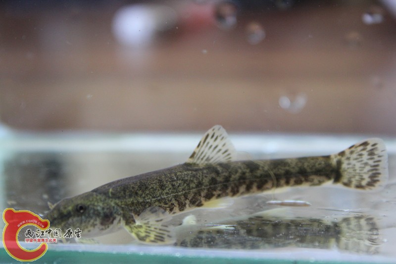 照片 035_副本.jpg