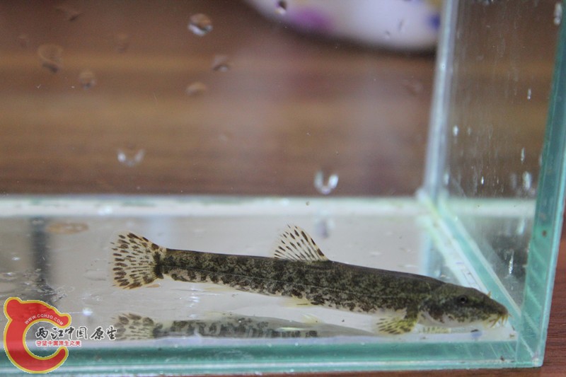 照片 037_副本.jpg