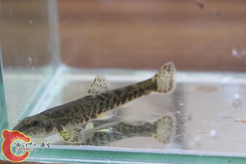 照片 038_副本.jpg