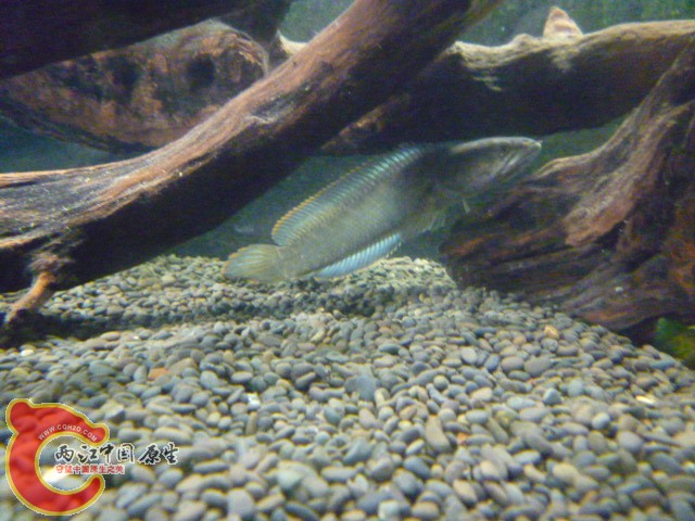 P1070483.JPG