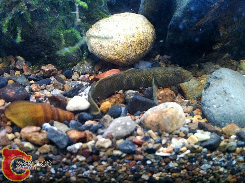 照片 004_conew1.jpg