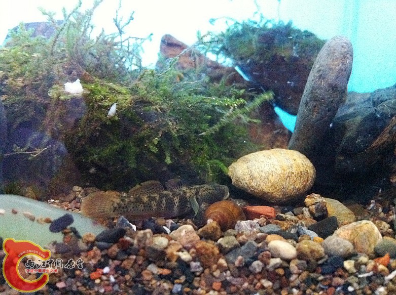 照片 007_conew1.jpg