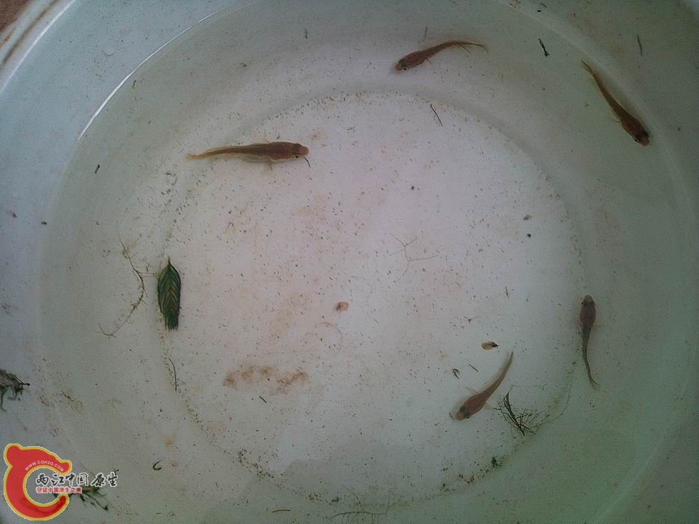 照片2744.jpg
