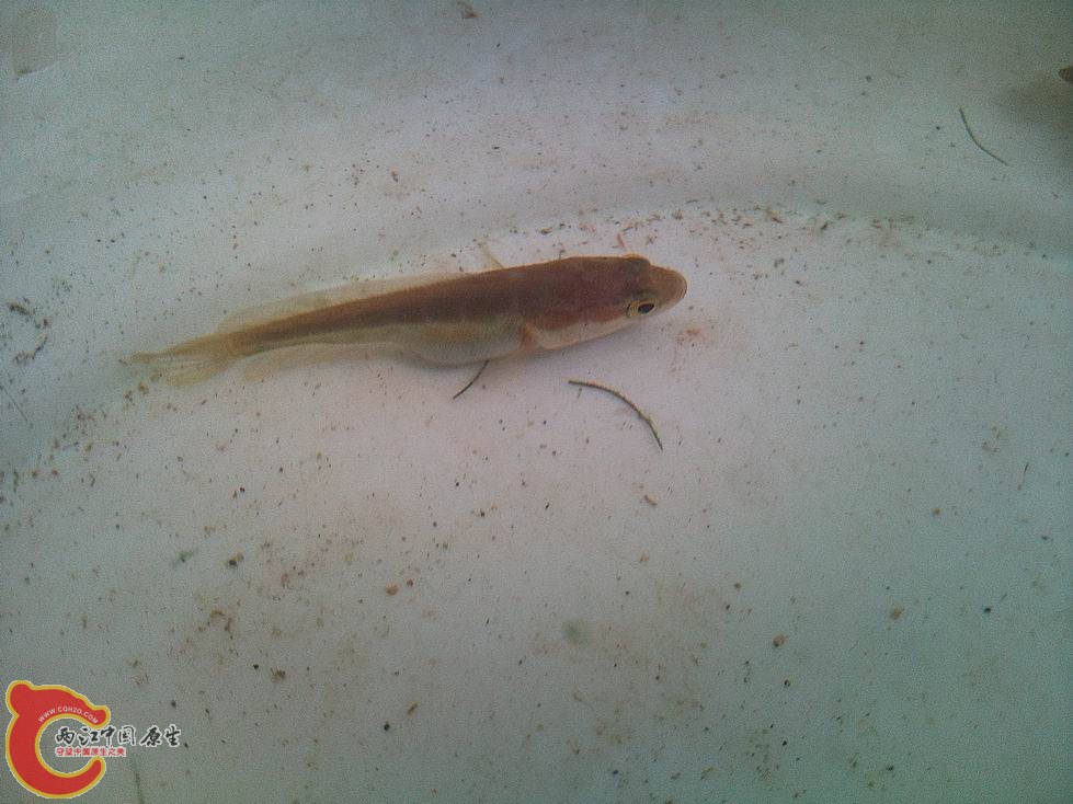 照片2746.jpg