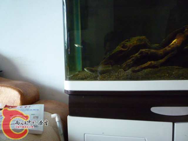 P1070525.JPG