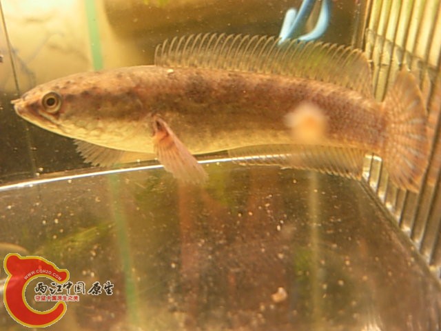 DSCN5059.JPG