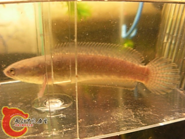 DSCN5060.JPG