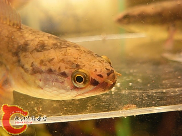 DSCN5061.JPG