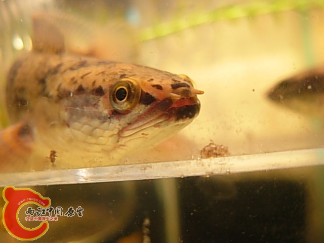 DSCN5062.JPG