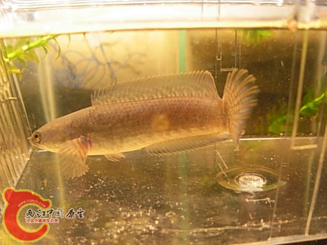 DSCN5056.JPG