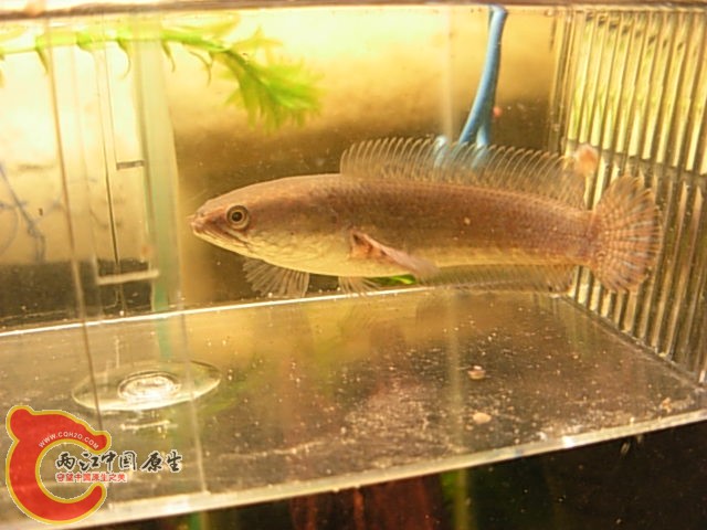 DSCN5057.JPG