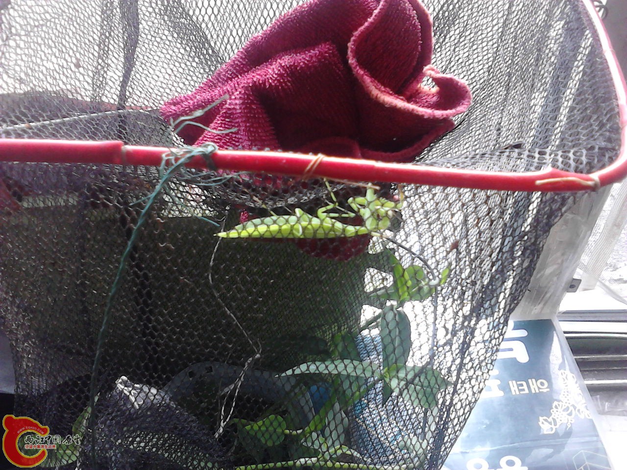 P17-08-12_07-49.jpg