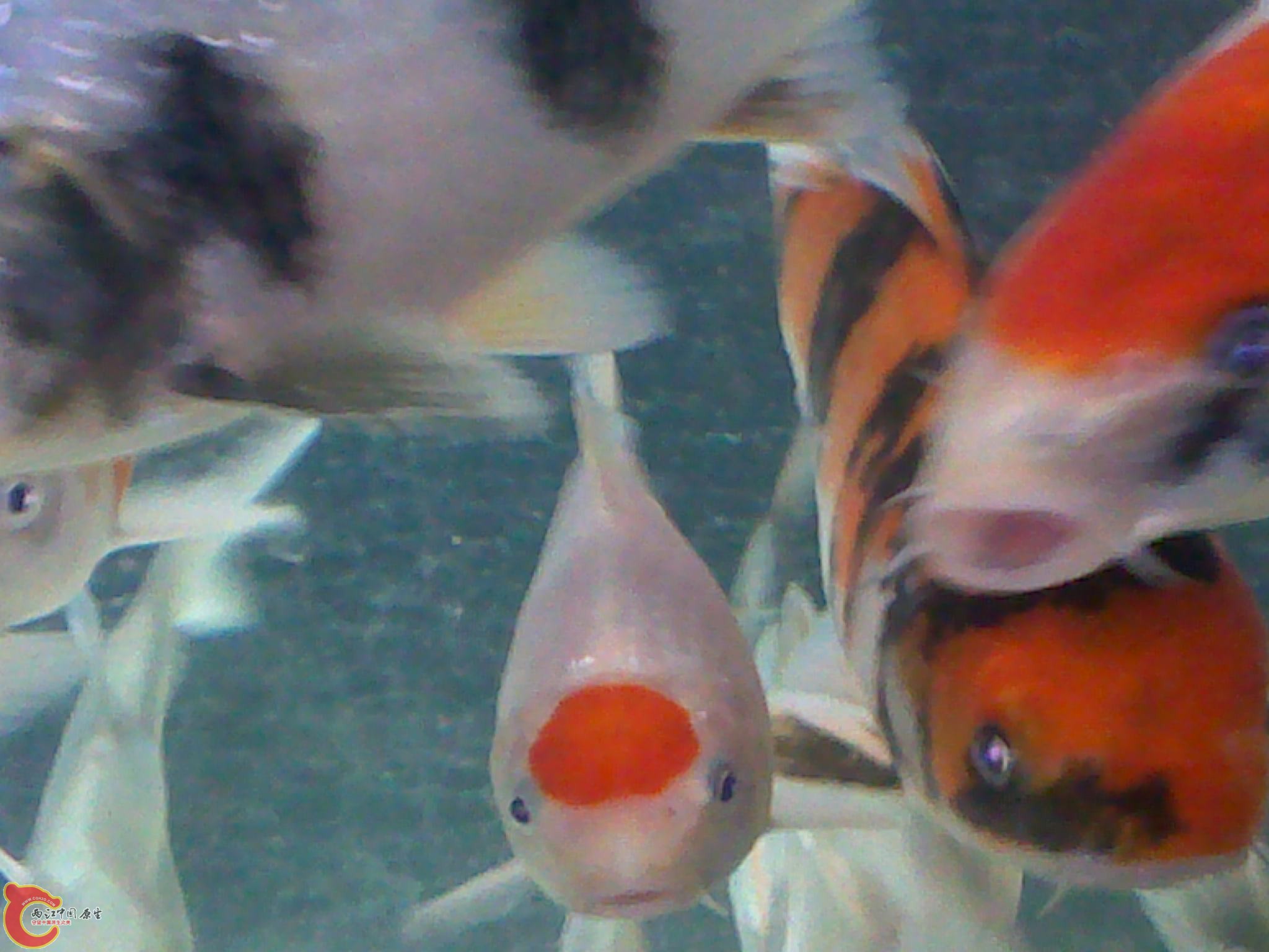 20111217557.jpg