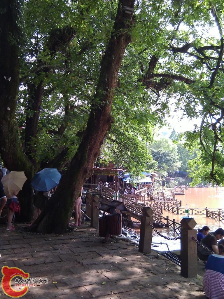 WP_000031 (2).jpg