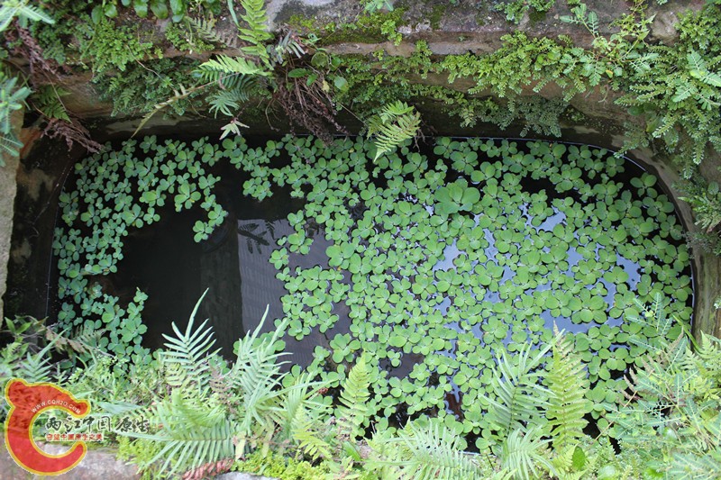 照片(10) 020_副本.jpg