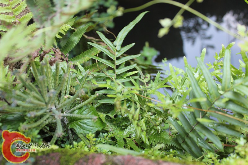 照片(10) 024_副本.jpg