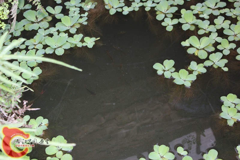 照片(10) 021_副本.jpg