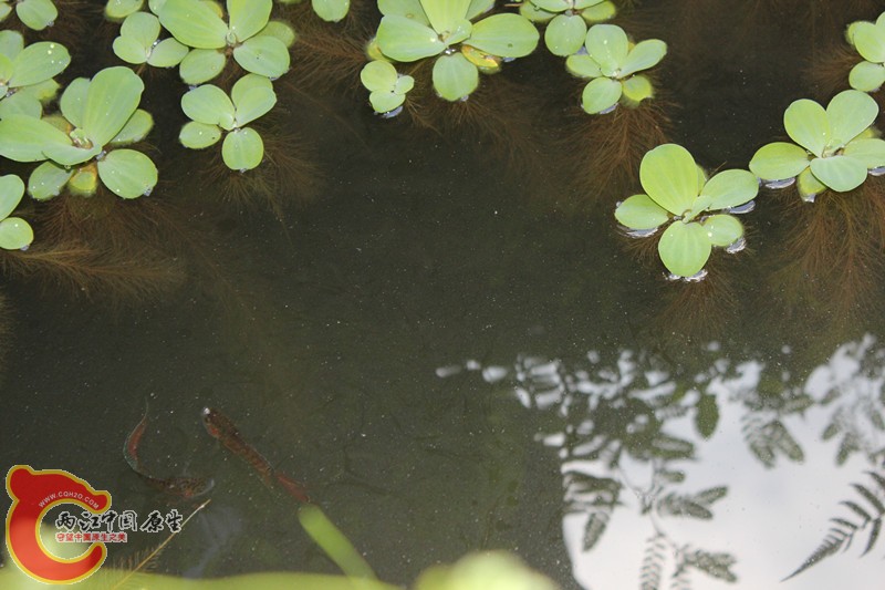 照片(11) 004_副本.jpg