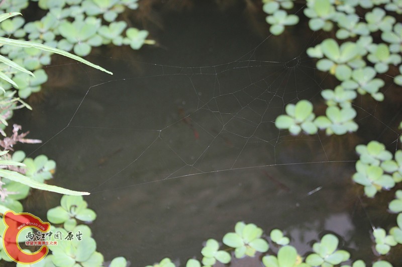 照片(10) 015_副本.jpg